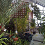 Colby Greenhouse