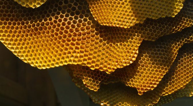 honeycomb