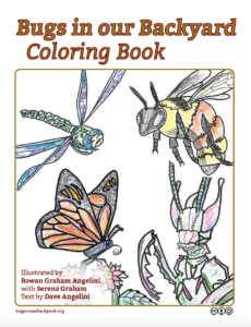 BioB coloring book cover